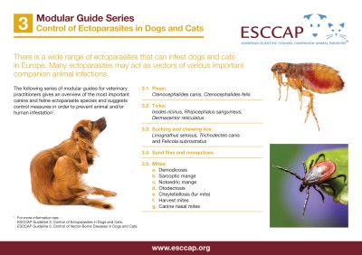 MG3: Control of Ectoparasites in Dogs and Cats