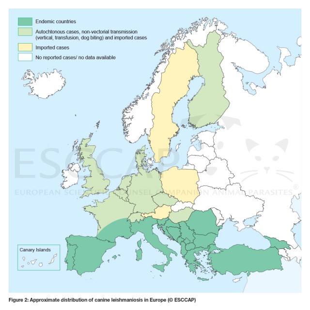 Fig. 1 Approximate distribution of canine leishmaniosis in Europe: